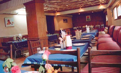 Hotel Ankit Palace